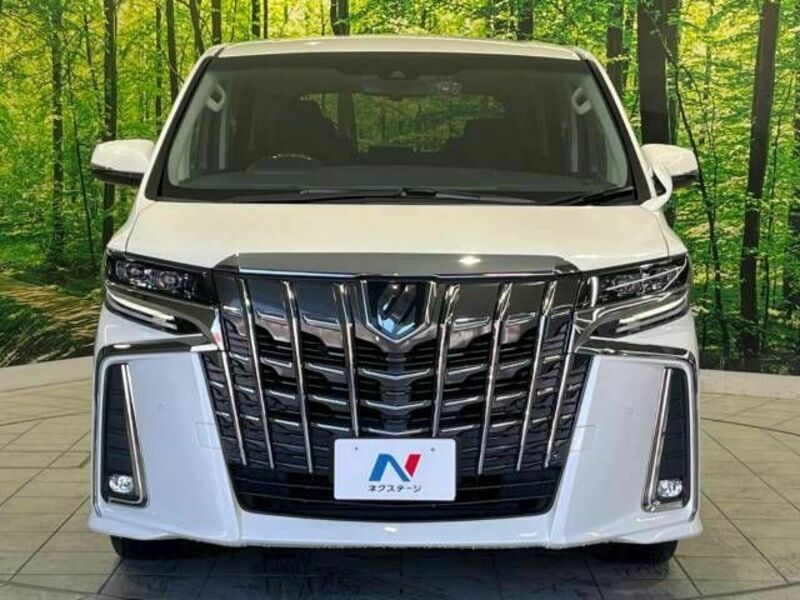 ALPHARD-15