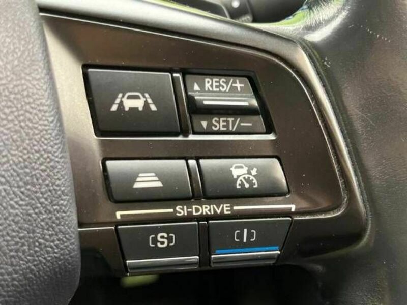 LEVORG-3