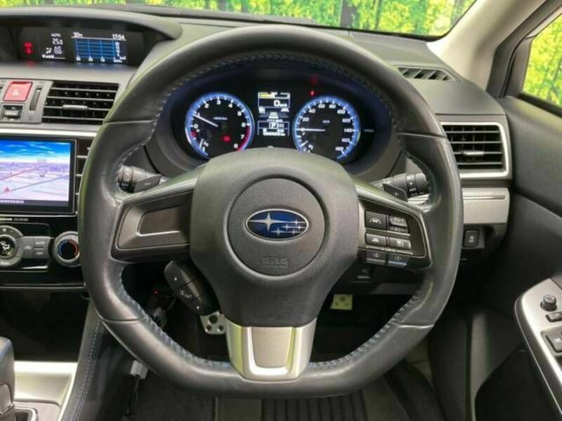 LEVORG-10