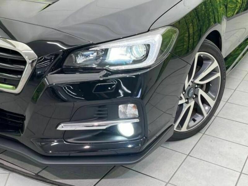 LEVORG-11