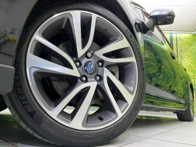 LEVORG-12