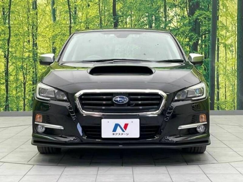 LEVORG-13