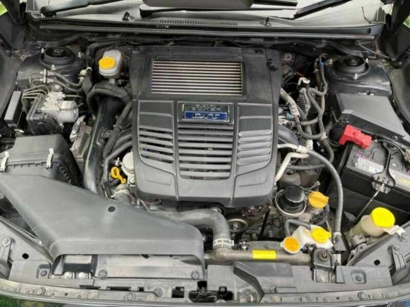 LEVORG-17