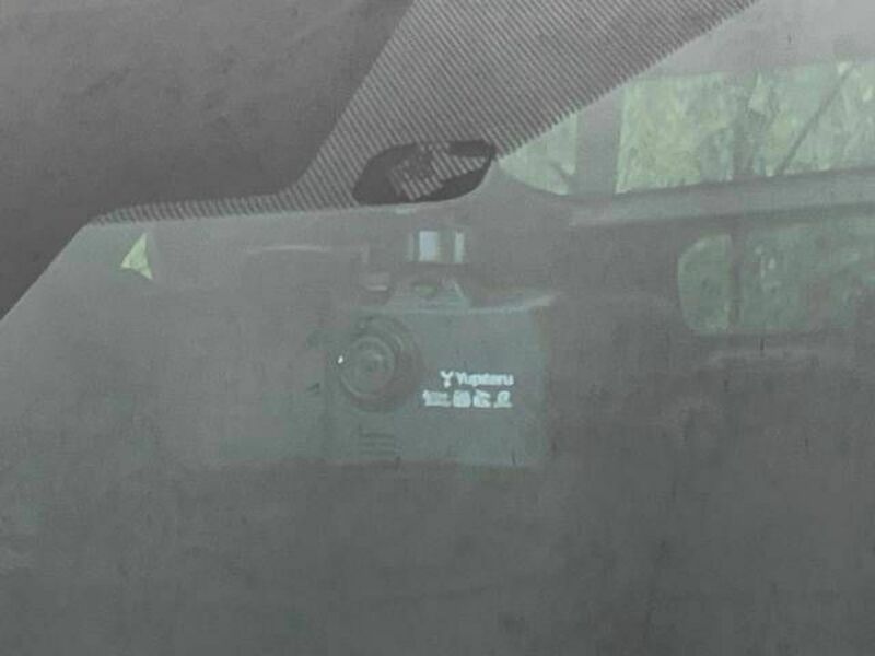PRIUS-6
