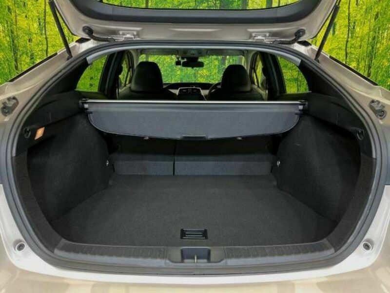 PRIUS-9