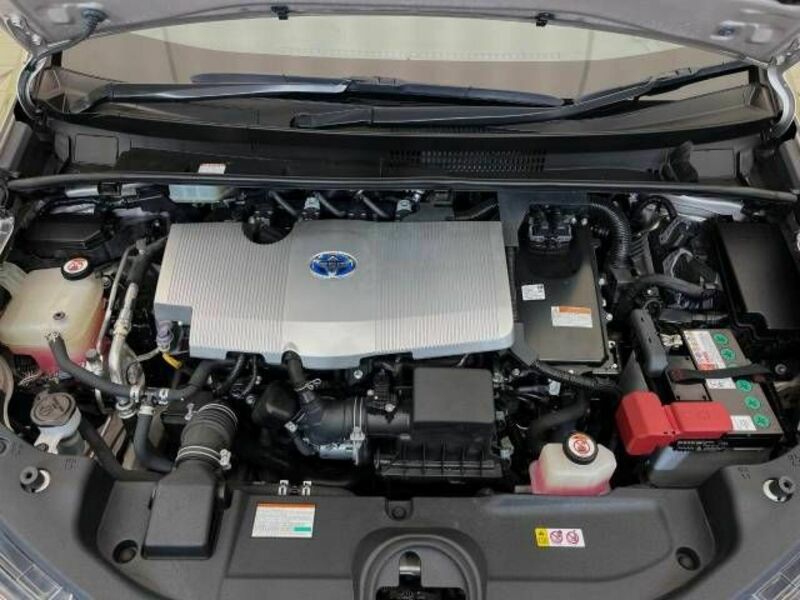 PRIUS-17