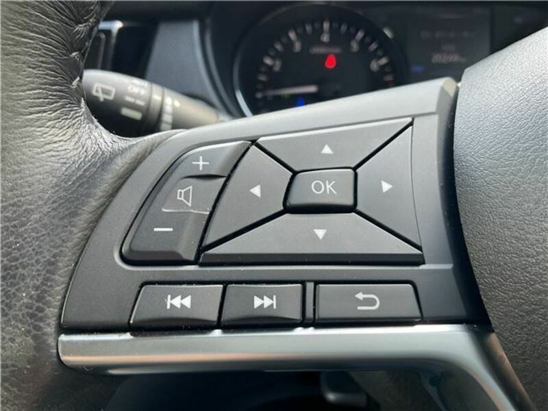 X-TRAIL-35