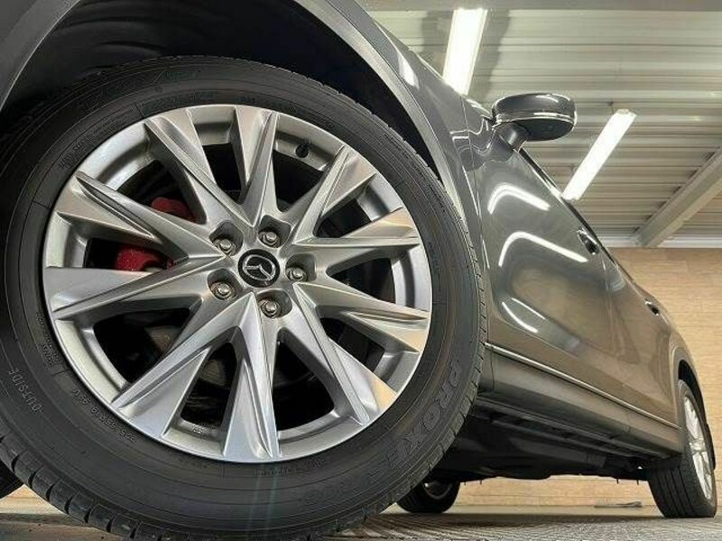 CX-8-11