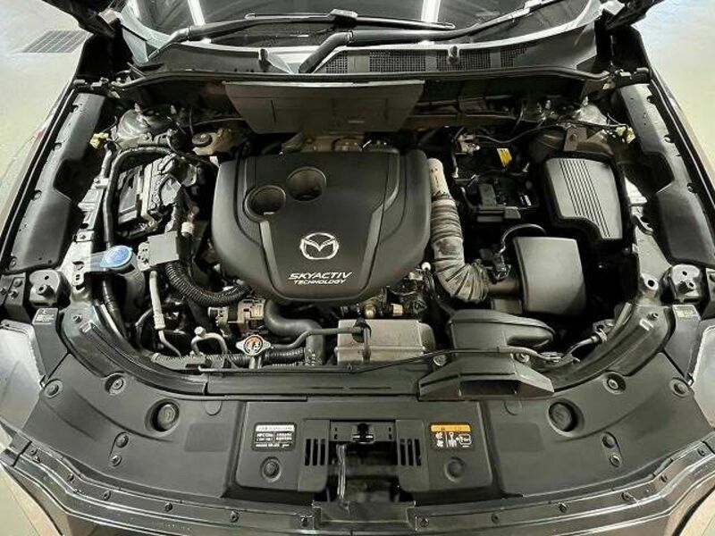 CX-8-12