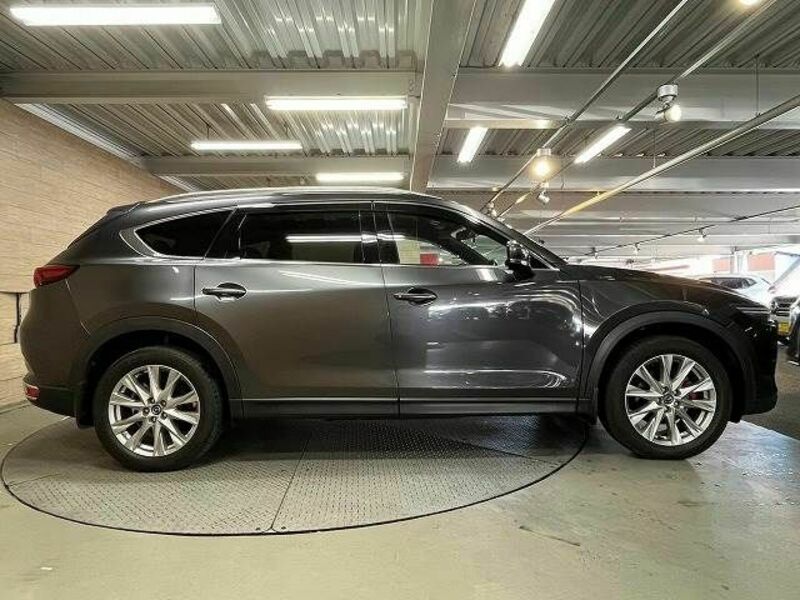 CX-8-17