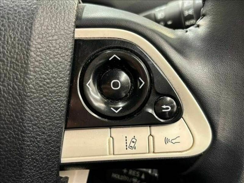 PRIUS-10