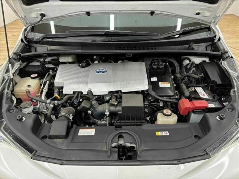 PRIUS-17