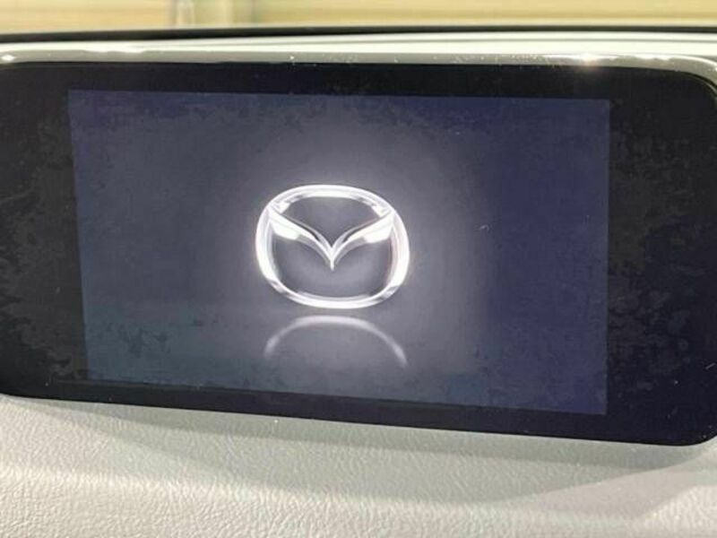 CX-8-2
