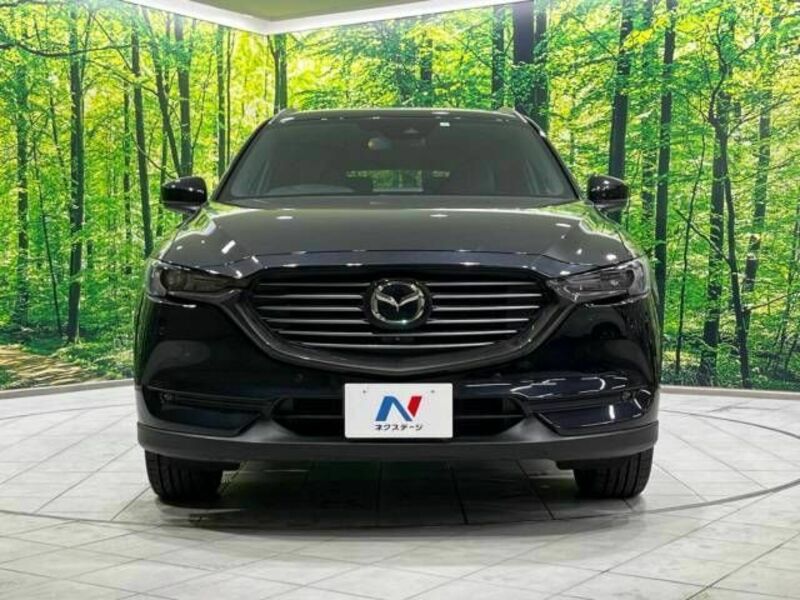 CX-8-15