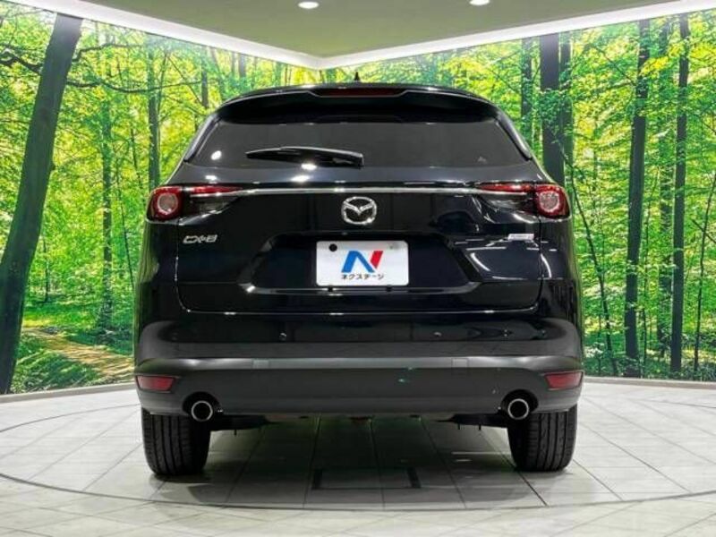 CX-8-16