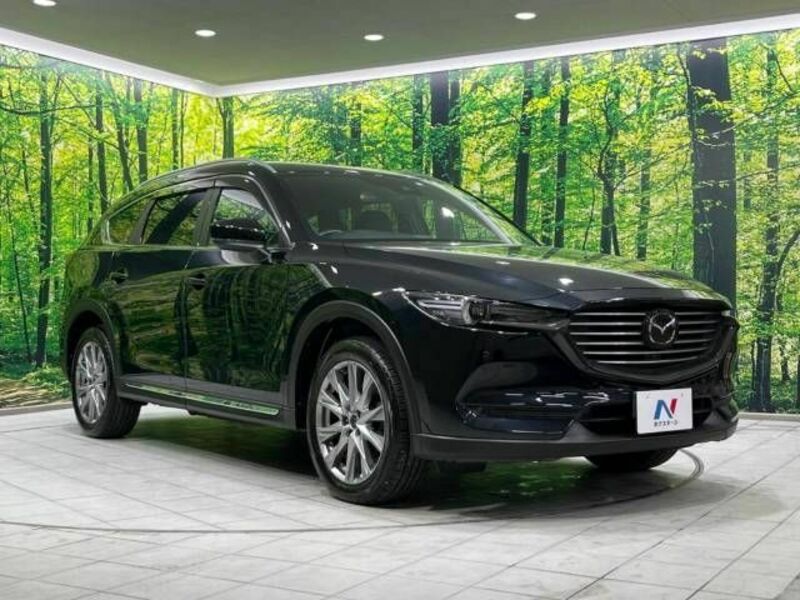 CX-8-17