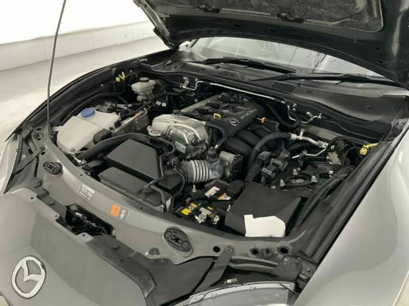 ROADSTER RF-11