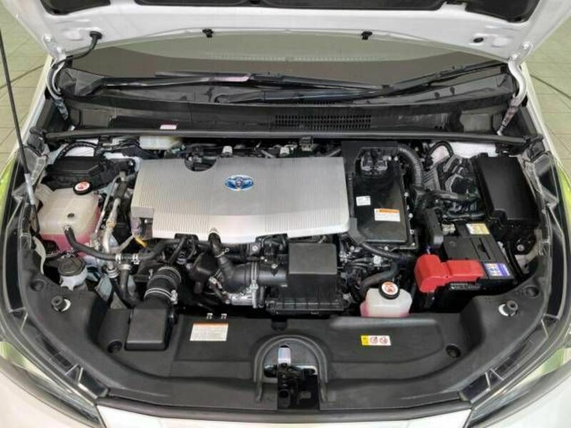 PRIUS-17