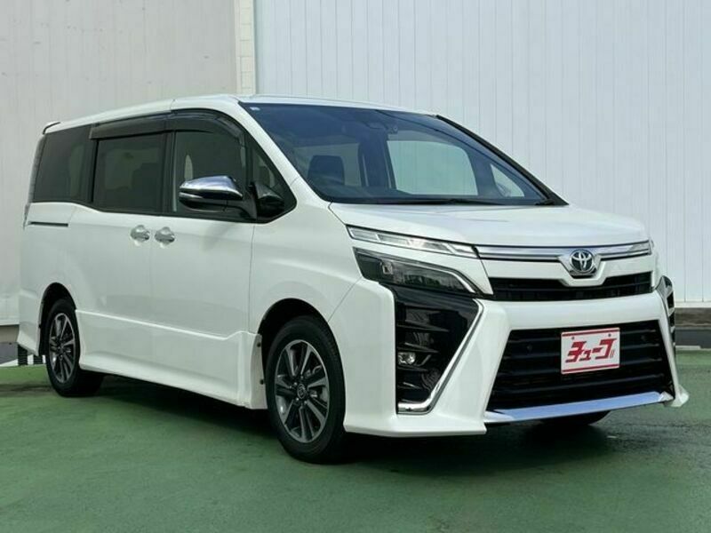 VOXY-6