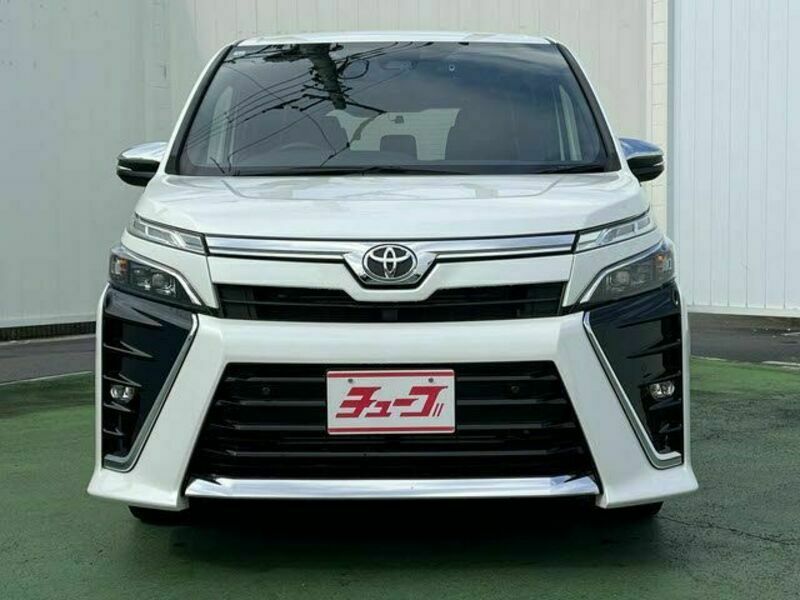 VOXY-21