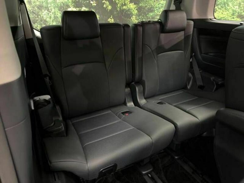 ALPHARD-11