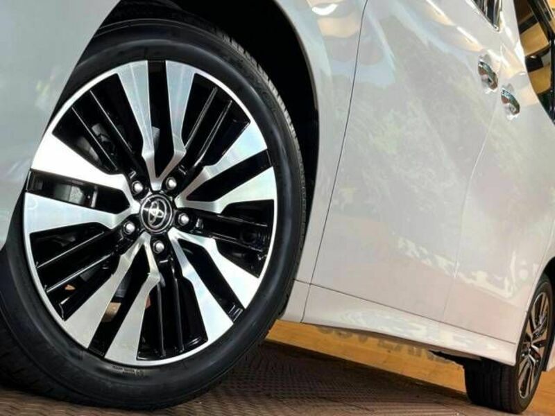 ALPHARD-13