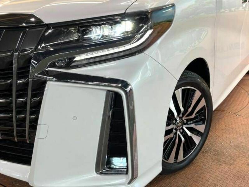 ALPHARD-14