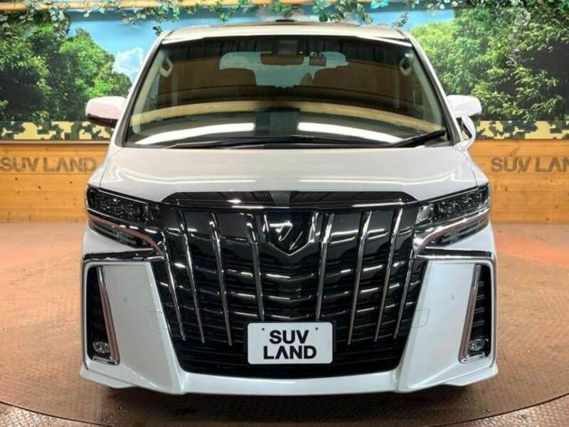ALPHARD-15