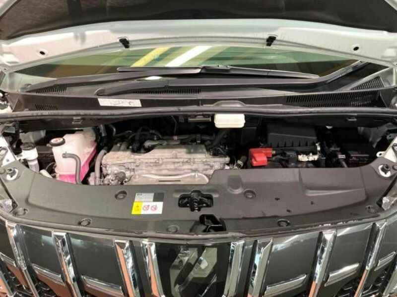 ALPHARD-17