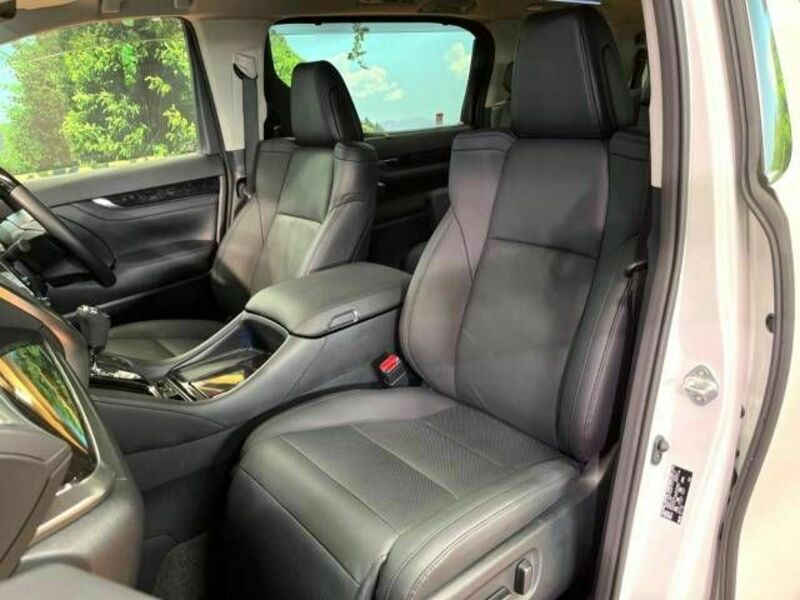ALPHARD-19