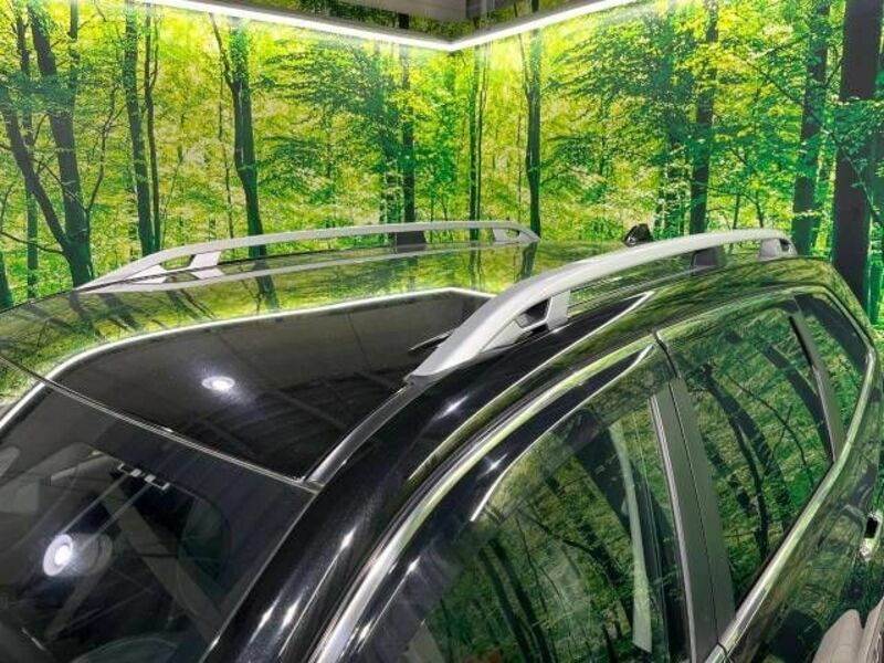FORESTER-3
