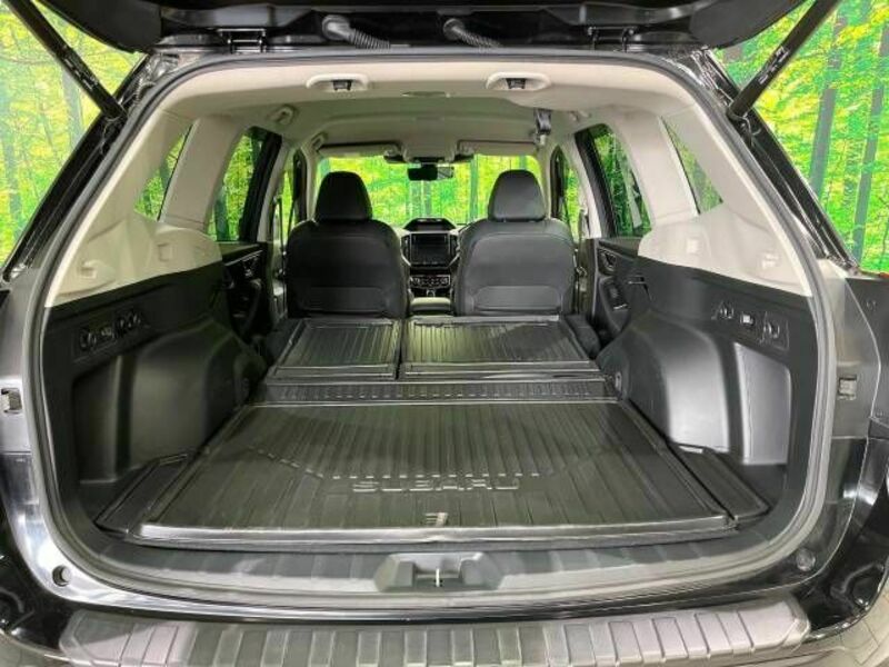 FORESTER-10