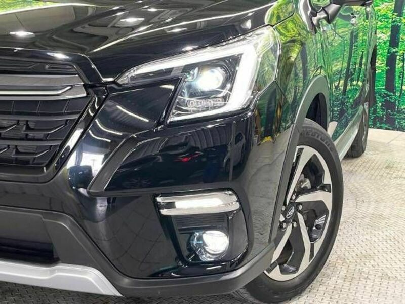 FORESTER-12