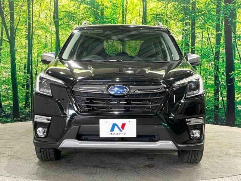 FORESTER-14