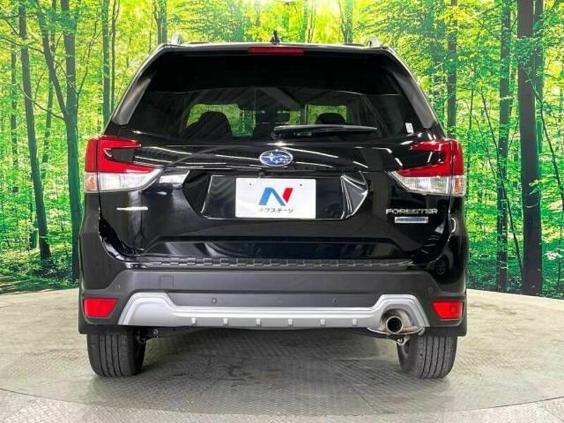 FORESTER-15