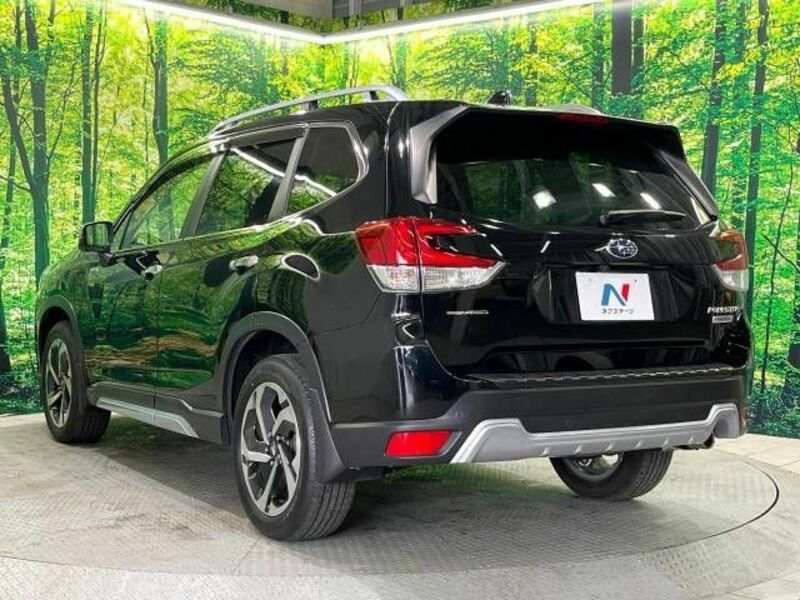 FORESTER-17
