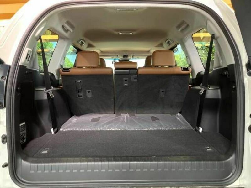 LAND CRUISER PRADO-14