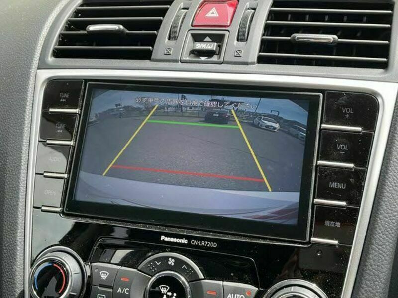 LEVORG-10