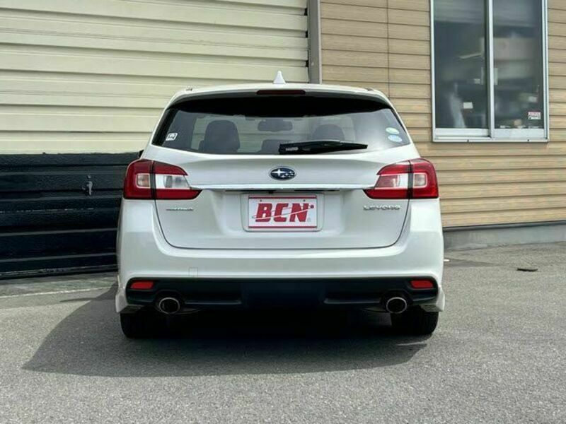 LEVORG-22