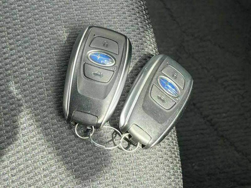 LEVORG-25