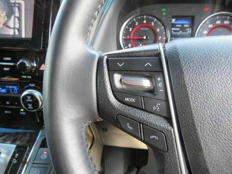 ALPHARD-10