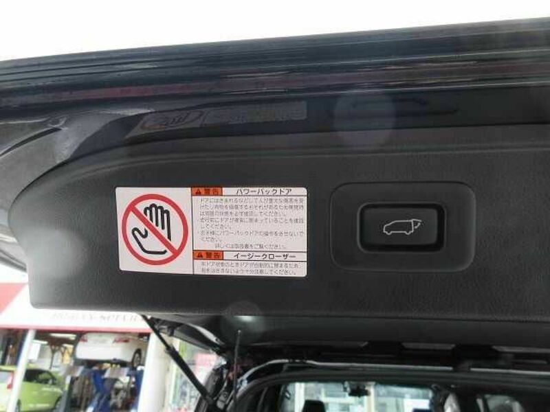 ALPHARD-13
