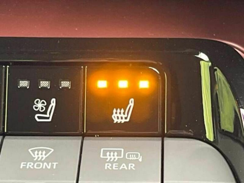 PRIUS-6