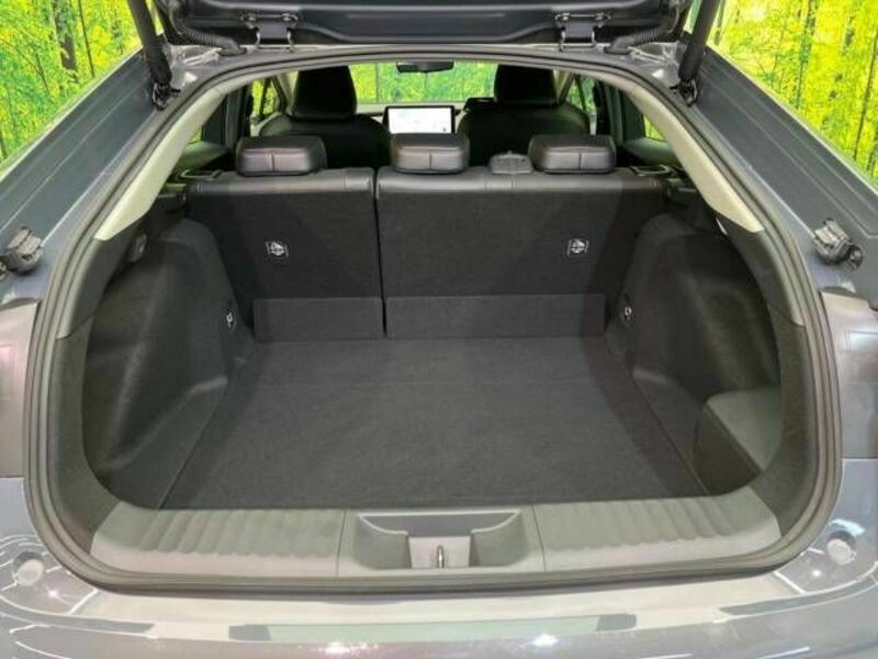 PRIUS-9