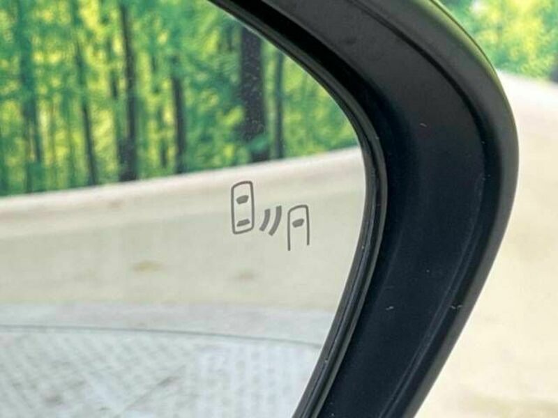 PRIUS-6