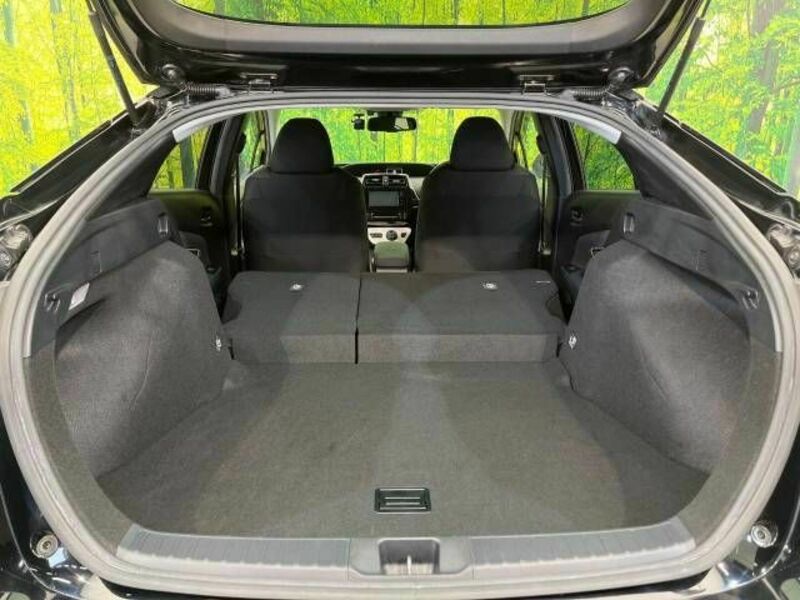 PRIUS-10