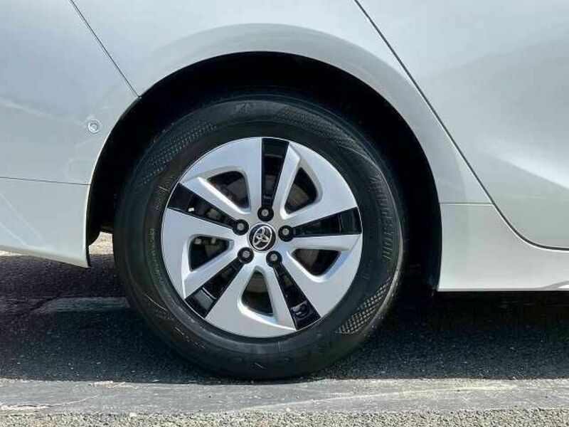 PRIUS-19
