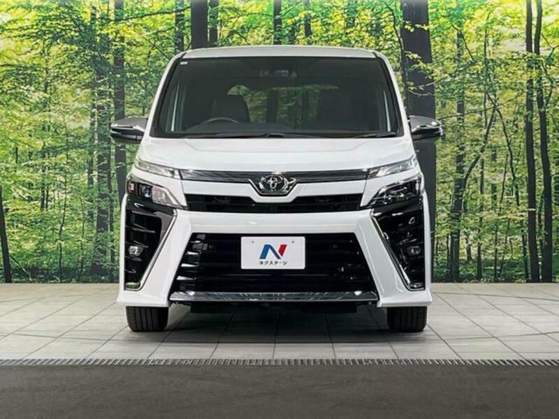 VOXY-13