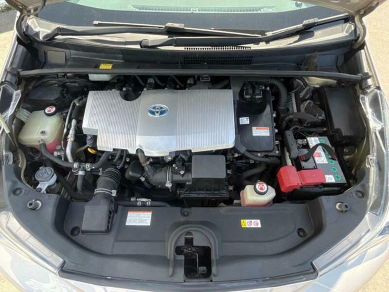 PRIUS-19