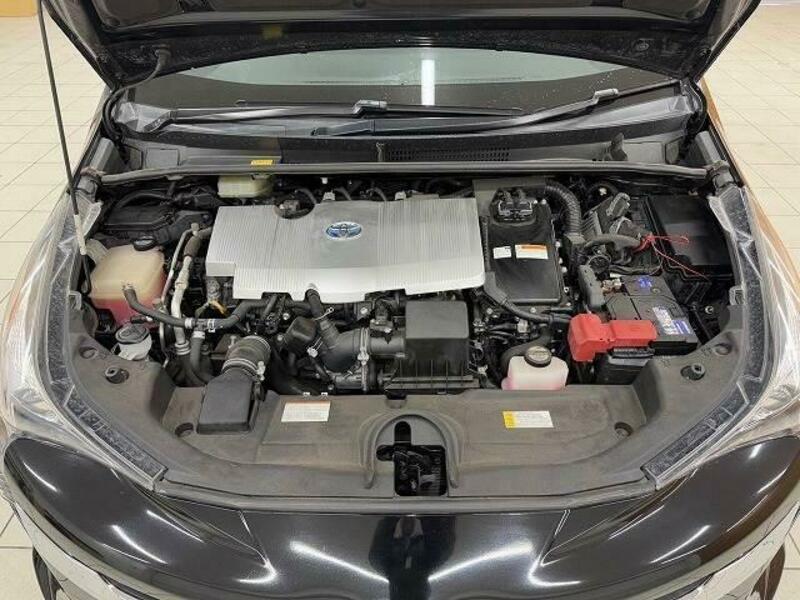 PRIUS-13